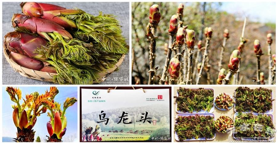 刘堡镇乘东风寻商机特色农产品走上京东云平台图